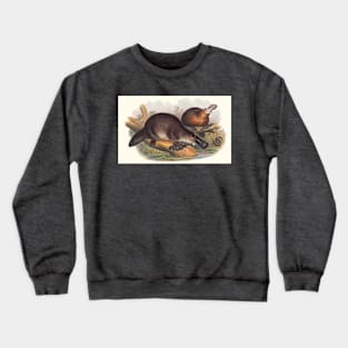 Animals Of Australia The Duck Billed Platypus Crewneck Sweatshirt